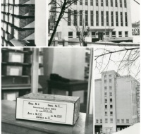 С Днем архивов!